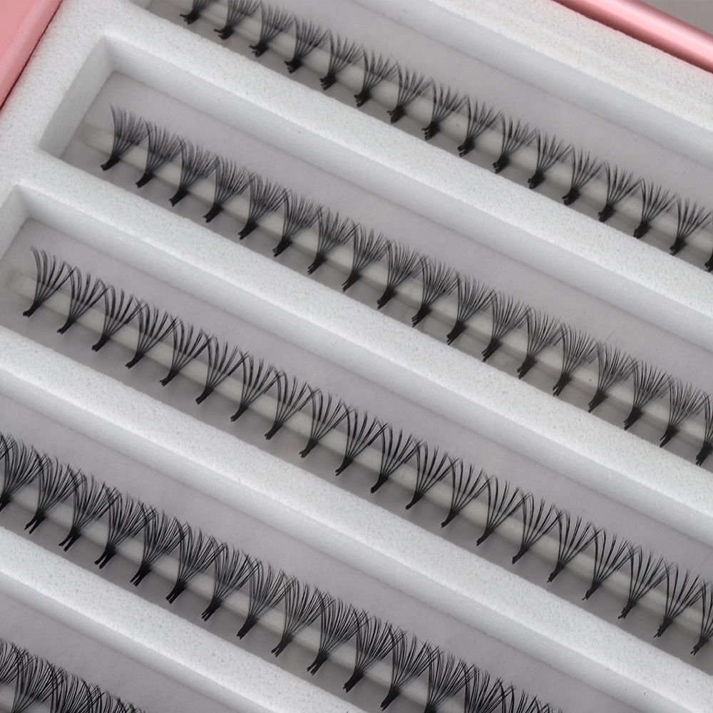 OEM 8D 10D 포인티 베이스 프리메이드 볼륨 팬  - Mega Volume Lash 리뷰 및 가격