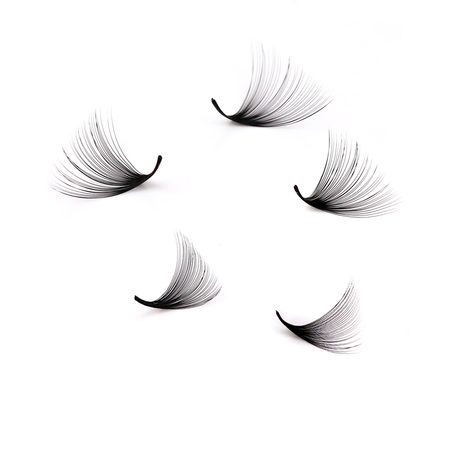 래쉬프로페서 XL 트레이 3D 4D 5D 6D 7D 8 - Mega Volume Lash 리뷰 및 가격